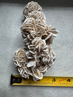 Selenite "Desert Rose," Samalayuka Desert, Chihuahua, Mexico #3