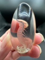 Beautiful Seahorse Garden Quartz Inner Scene Carving #3