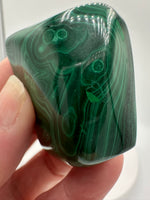 Polished Malachite Freeform #12