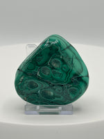 Polished Malachite Freeform Zaire, Africa #8