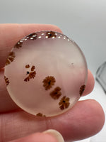 Scenic Dendritic Agate Cabochon #1