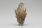 Natural Citrine Cathedral Crystal (Congo) – Kundalini Lightbrary Specimen #1