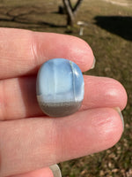Owyhee Blue Opal Cabochon #37