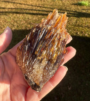 Natural Amber Calcite Raw Specimen UV Reactive #7