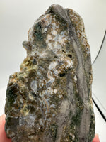 8th Vein Ocean Jasper Slab #31