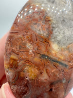 Money Agate Palm Stone #2