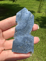 Blue Ridge Coral Heliopora Coerule Tower #9