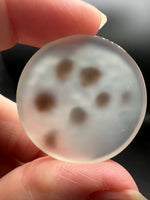 Scenic Dendritic Agate Cabochon #3