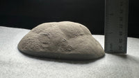 Septarian Nodule, Calcite, Muddy Creek, Orderville, Kane Co. UT UV Reactive #1