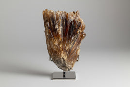Natural Amber Calcite Raw Specimen UV Reactive #8