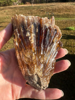 Natural Amber Calcite Raw Specimen UV Reactive #9