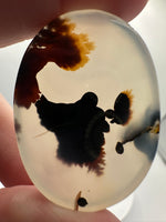 Designer Dendritic Agate Cabochon #11