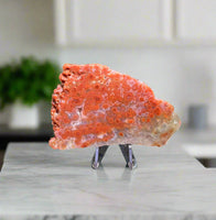 8th Vein Ocean Jasper Slab #121