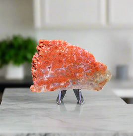 8th Vein Ocean Jasper Slab #121