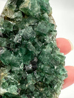 Diana Maria Fluorite Specimen #3