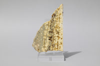 8th Vein Ocean Jasper Slab #94