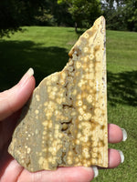 8th Vein Ocean Jasper Slab #94
