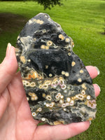 8th Vein Ocean Jasper Slab #33