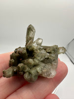 Chlorite Included Himalaya Quartz Crystal from Pakistan