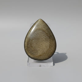 Natural Golden Sheen Obsidian Pearshape Large Cabochon #5