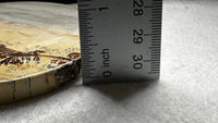 Natural Picture Jasper Slab with Stand #10