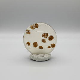 Scenic Dendritic Agate Cabochon #6