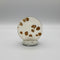 Scenic Dendritic Agate Cabochon #6