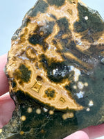 8th Vein Ocean Jasper Slab #135
