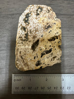 8th Vein Ocean Jasper Slab #98