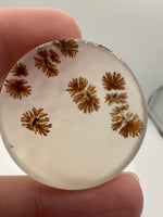 Scenic Dendritic Agate Cabochon #2