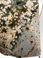 8th Vein Ocean Jasper Slab #22