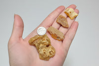 Lot of Copal Specimens from Mexico