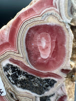 Rhodochrosite Slab #9 – Pink Banded Bullseye Orb – Polished Collector Specimen