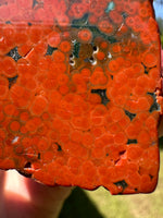 8th Vein Ocean Jasper Slab #126