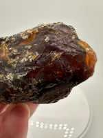 Madagascar Raw Amber Specimen #12
