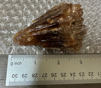 Natural Amber Calcite Raw Specimen UV Reactive #4