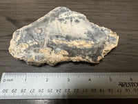 Dendritic Opal Slab