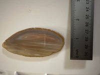 Agate Slice #19