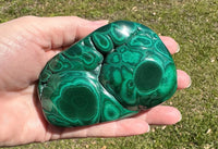 Polished Malachite Freeform #2 Zaire, Africa