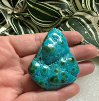 Polished Malachite, Chrysocolla Freeform Zaire, Africa #3