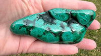 Polished Malachite Freeform, Zaire, Africa #6