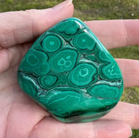 Polished Malachite Freeform Zaire, Africa #8