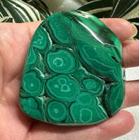 Polished Malachite Freeform Zaire, Africa #8
