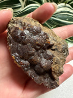 Andradite Garnet Specimen, Zacatecas, Mexico #9