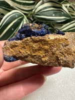 Azurite Specimen Sierra Rica Chihuahua, Mexico #1