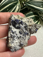 Azurite Specimen, Morenci, AZ #3