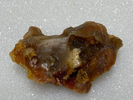 Savannah River Agate Specimen #25