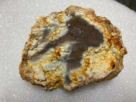 Savannah River Agate Specimen #21