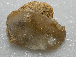 Savannah River Agate Specimen #24