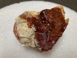 Savannah River Agate Specimen #30